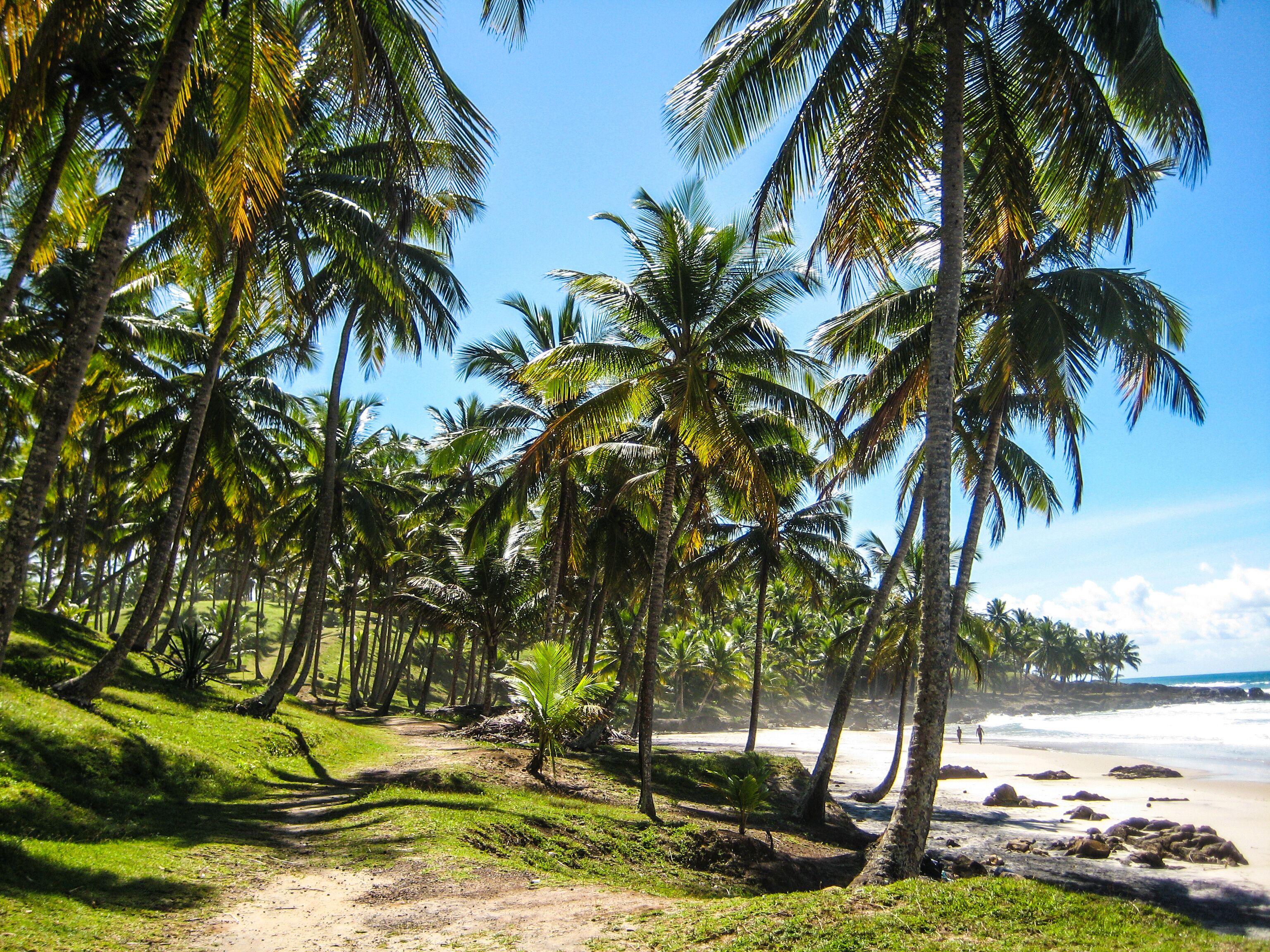 Gorgeous Itacare beach in Brazil
