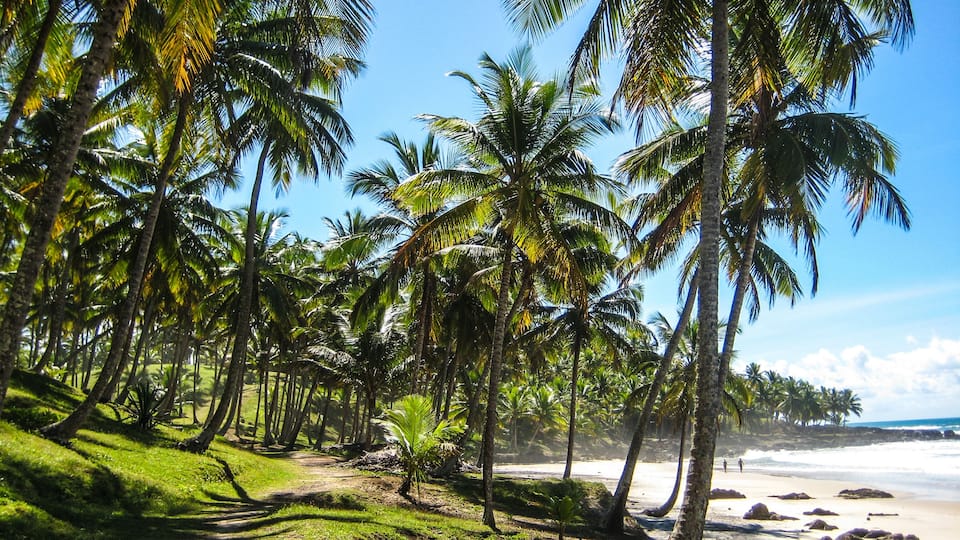Gorgeous Itacare beach in Brazil