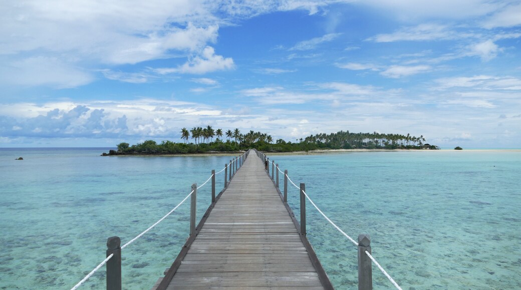 Bridge in Paradise to Palm Island Virgin Cocoa - Maratua-Island Indonesia