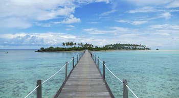 Bridge in Paradise to Palm Island Virgin Cocoa - Maratua-Island Indonesia