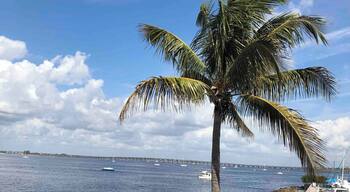 Wonderful weather in high 70s while dining at The Captain’s Table Restaurant in Punta Gorda in Fisherman’s Village. Our good friend Diane from upstate New York flew down for the week to celebrate our birthdays.