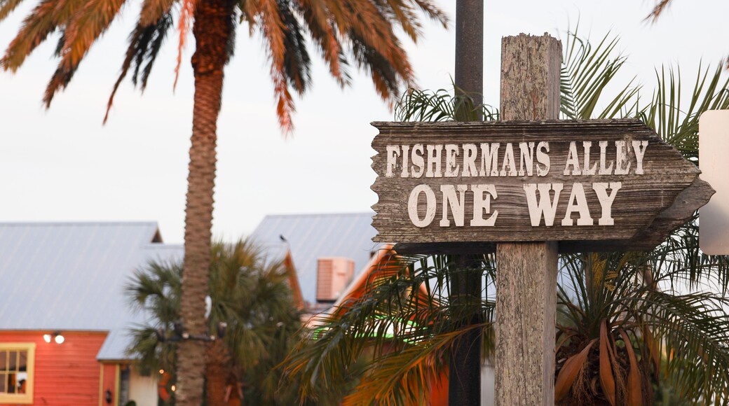 John's Pass Village and Boardwalk is an outdoor shopping paradise. a variety of restaurants, the local fishing fleet, dolphin watching. Madeira Beach, FL