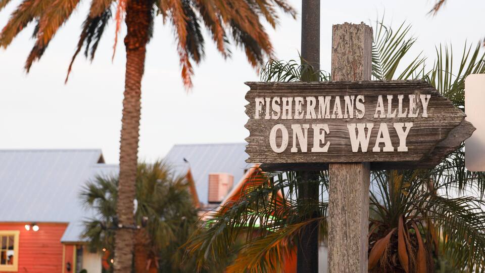 John's Pass Village and Boardwalk is an outdoor shopping paradise. a variety of restaurants, the local fishing fleet, dolphin watching. Madeira Beach, FL
