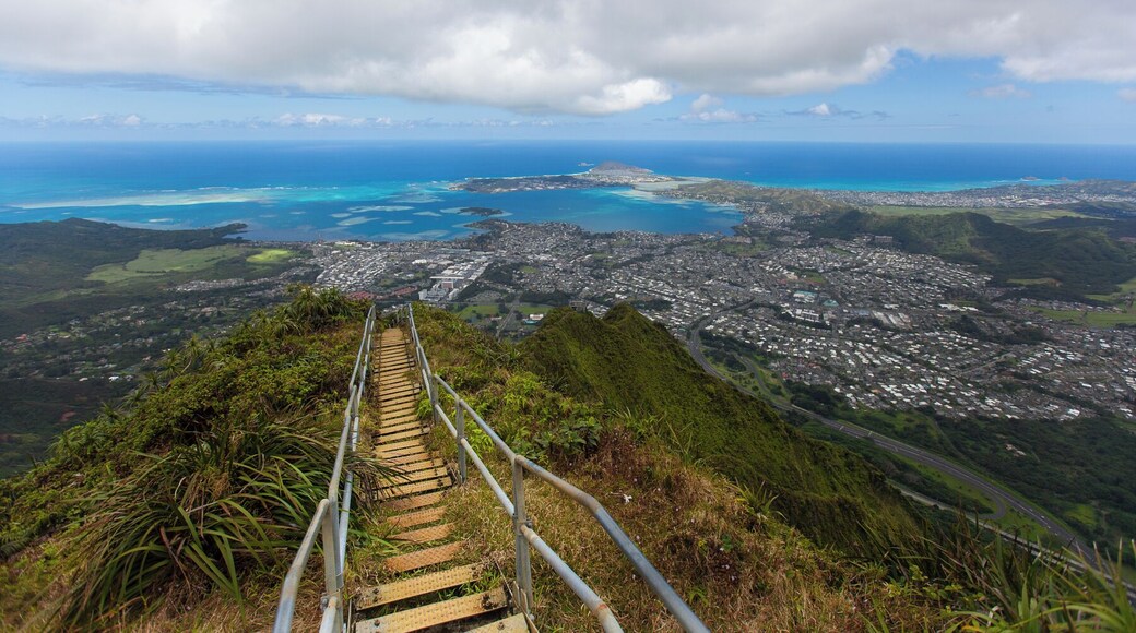 ทีแม็ก ทอมป์สัน แอลเอ็น - ถนนเมอร์ฟรีส์โบโร