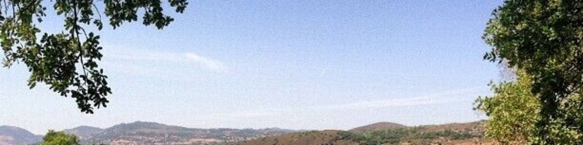 #napa #napavalley #california #memorialday #vineyard #babywine