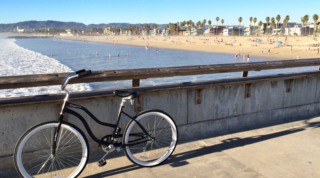 Cali cruise'n #Venice #beach #bike