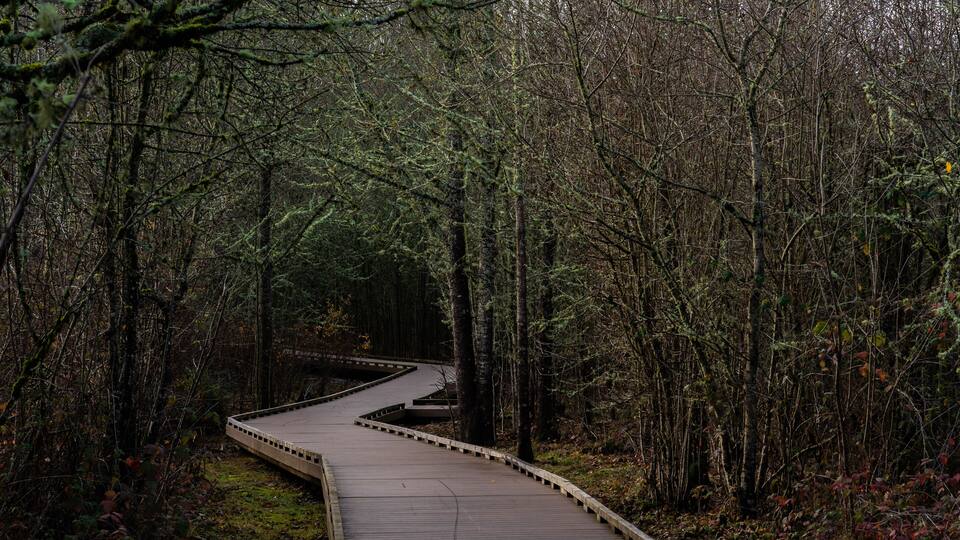 BoardWalk of Happy Valley Wetland Park in Oregon