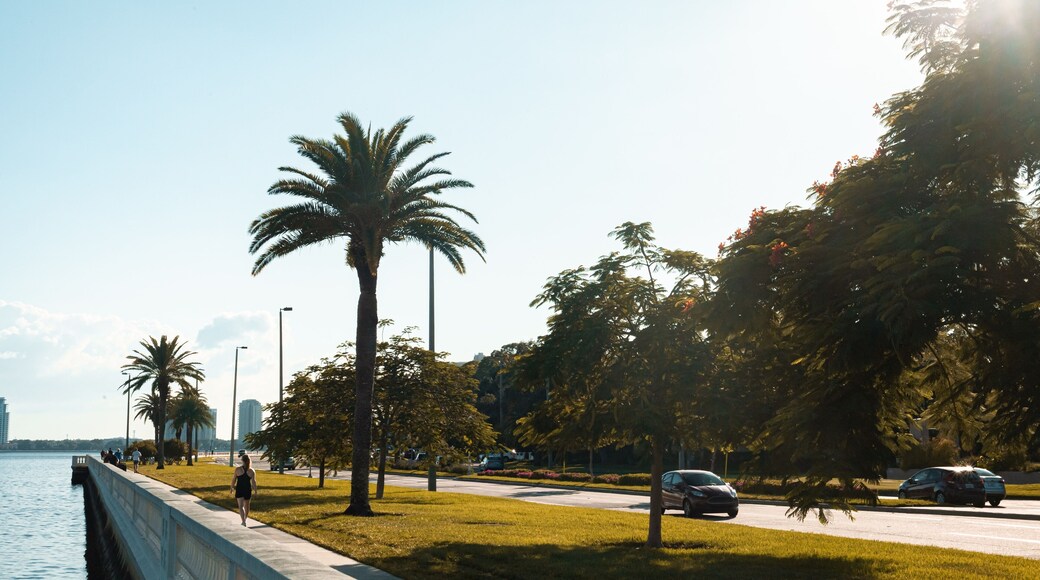 Bayshore in Tampa