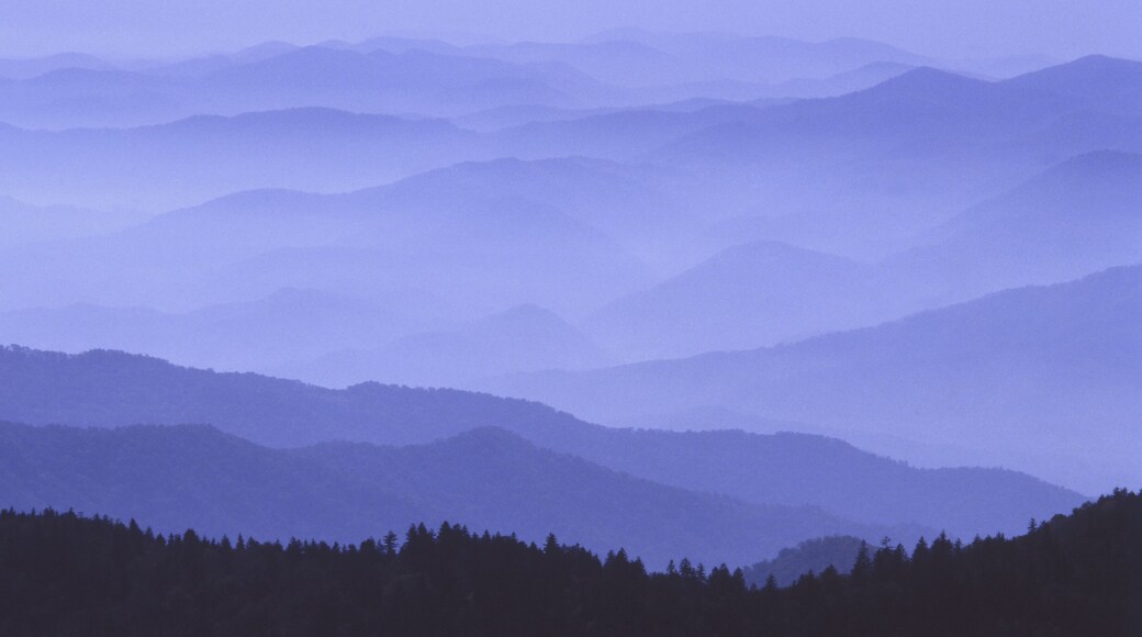 Blue Ridge Mountains of North Carolina in the first light of day, dawn, with fog in the valleys Blueridge