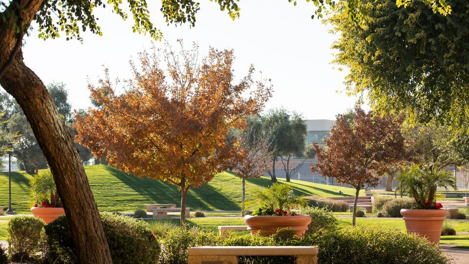 Surprise, Arizona, USA - January 4, 2022: Afternoon sunlight shines on the public city Civic Center and City Hall of Surprise, Arizona.