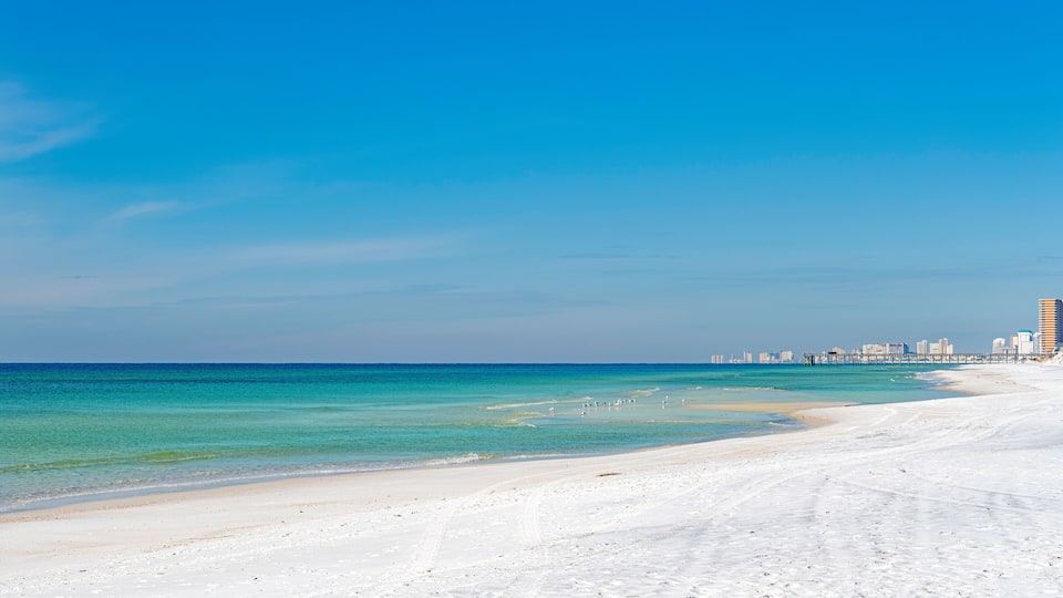 Panama city beach and the gulf of mexico