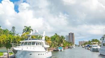 Yachts in Las Olas Isles in Fort Lauderdale