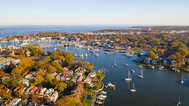 A marina with numerous sailboats docked, surrounded by residential houses and a backdrop of trees and a distant shoreline.