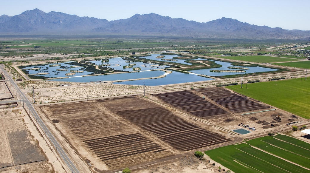 Glendale Sports and Entertainment District