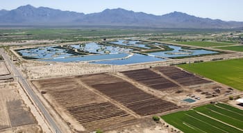 Man made Wildlife Refuge near the Estrella Mountains; Shutterstock ID 101258656