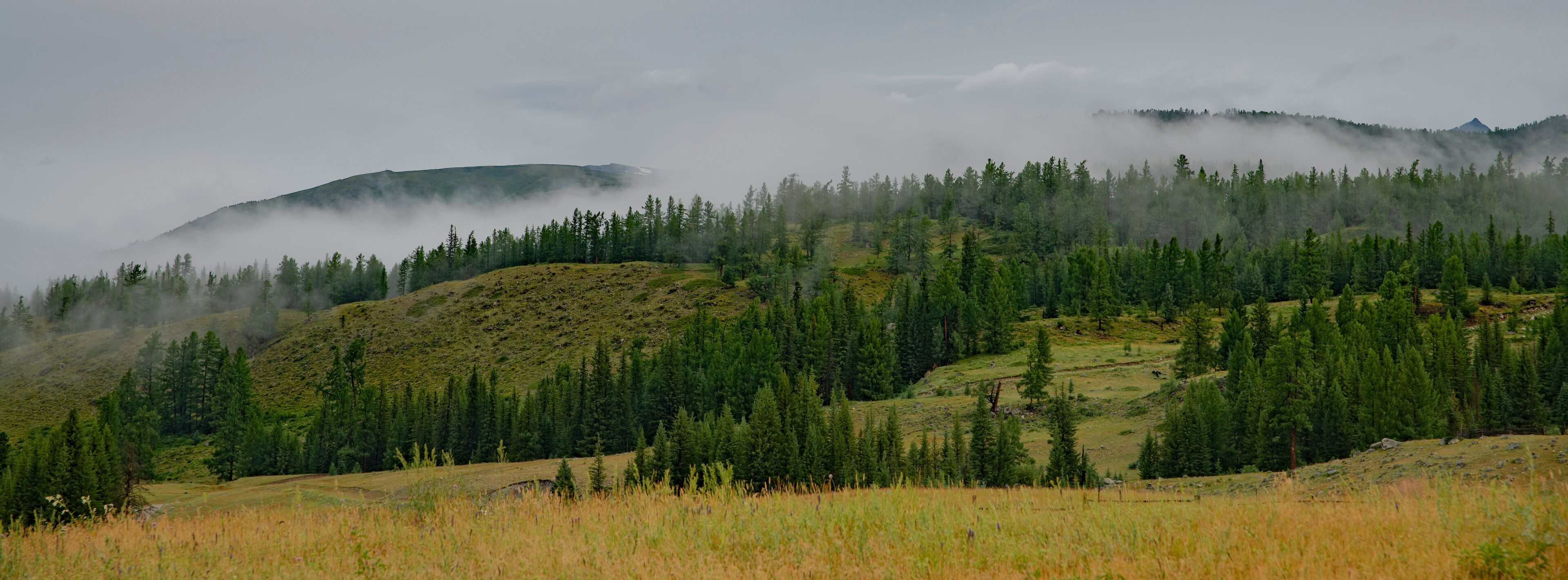 panorama of the mountains