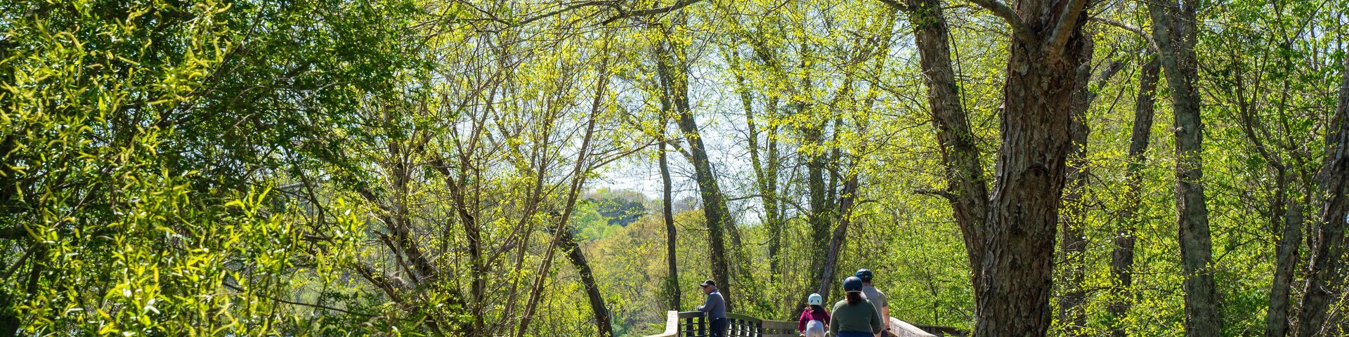 Roswell Riverwalk Boardwalk is a 7-mile off-road path runs along the Chattahoochee River in Roswell, Georgia, north of Fulton County. A walking path along the river. People can walk their pets