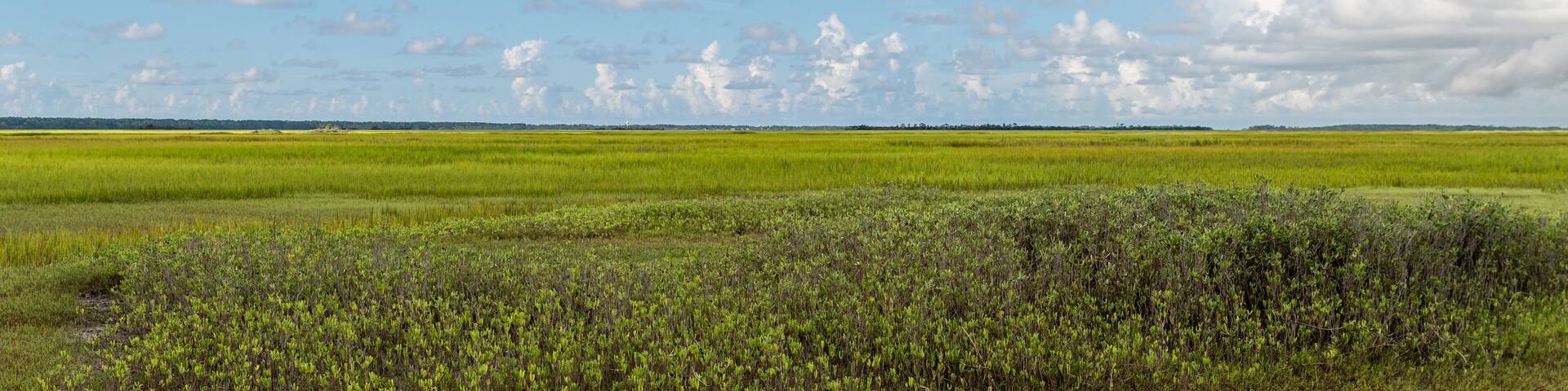 Low Country Morning Clouds