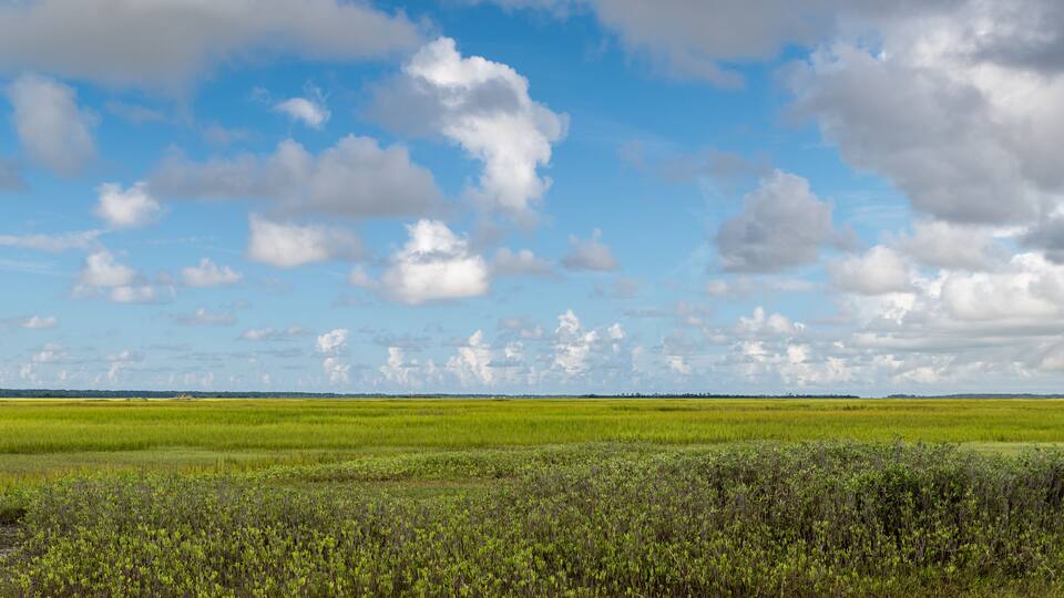 Low Country Morning Clouds