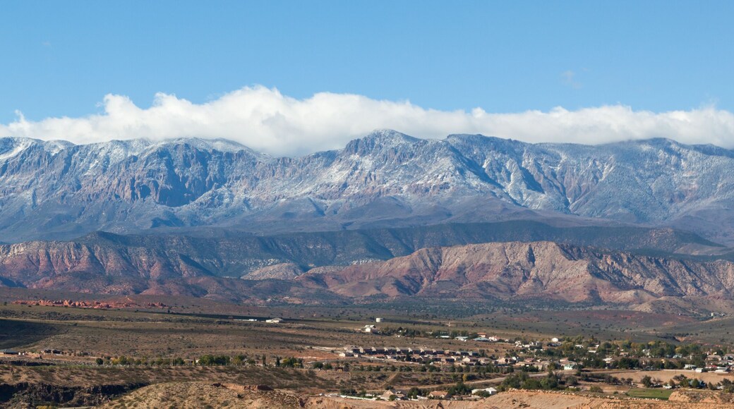 ๋ด ์ ์คํ๋ง์ค