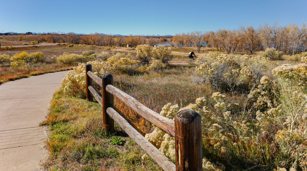 Canterberry Crossing