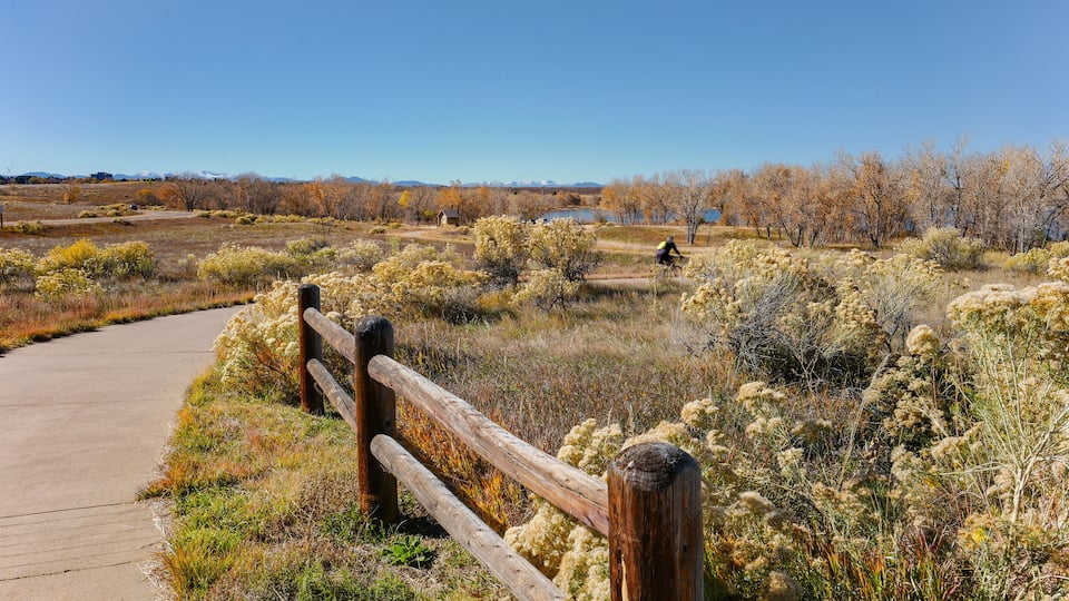 A scenic view of the natural habitat around Cherry Creek State Park in Colorado in the Fall with Rabbitbrush bushes and other vegetation in the landscape close to a paved walking trail.