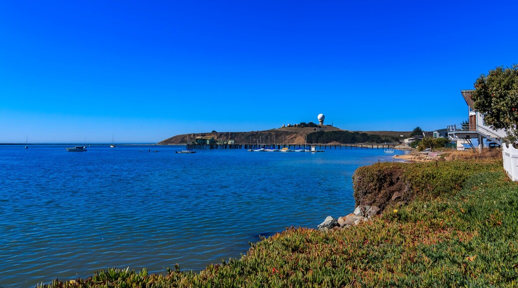View onto the in Princeton Pillar Point Air Force tracking station radar dome across the water in Half Moon Bay