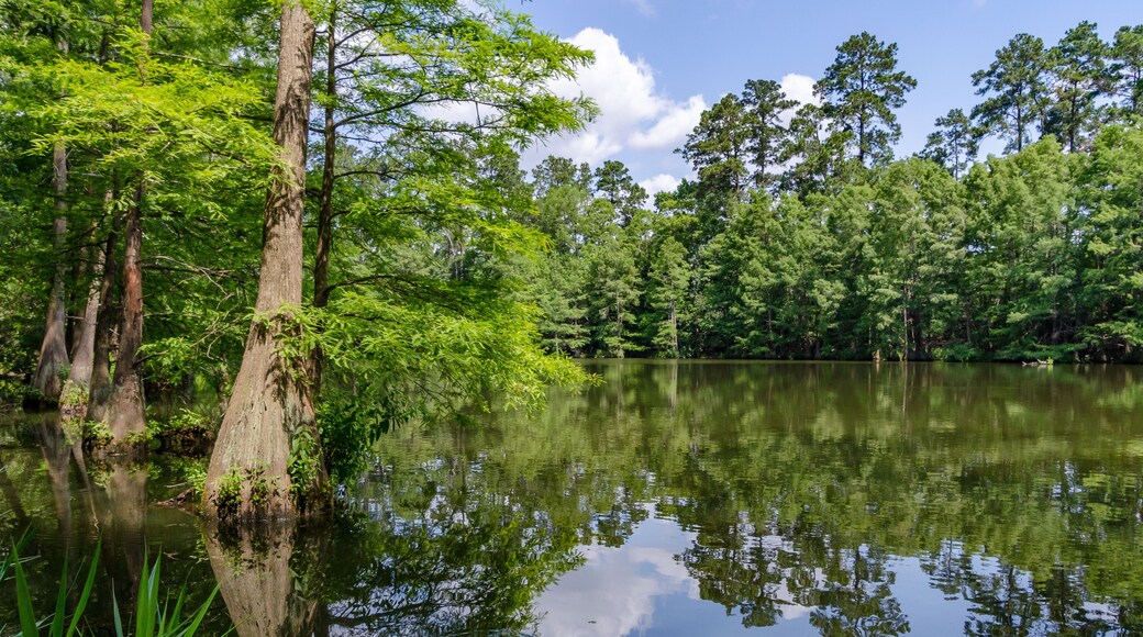 A pond in the Stahl Preserve along the Spring Creek Greenway Trail in Spring, Texas.