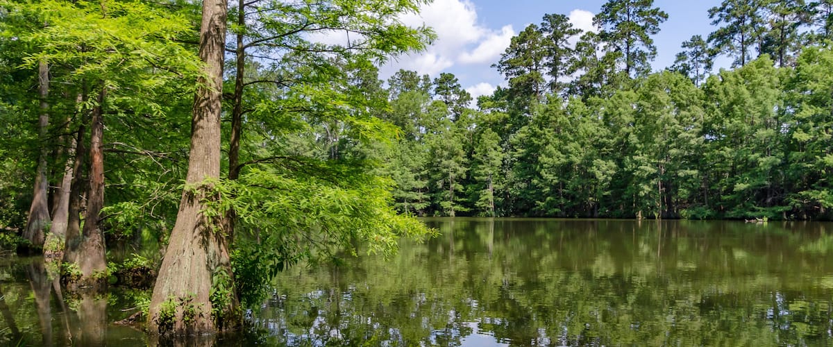 A pond in the Stahl Preserve along the Spring Creek Greenway Trail in Spring, Texas.