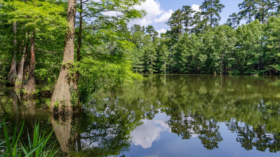A pond in the Stahl Preserve along the Spring Creek Greenway Trail in Spring, Texas.
