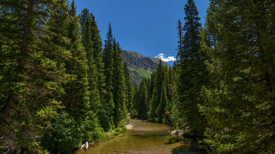 Roaring Fork River headwaters between Aspen and Independence Pass in White River National Forest (Pitkin County, Colorado, USA)