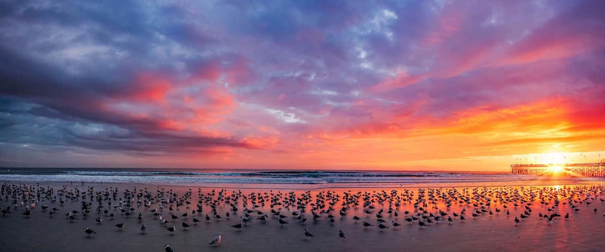 Vibrant hues paint the sky over Daytona Beach as seagulls dance along the shoreline, welcoming a new day under the gentle glow of dawn.