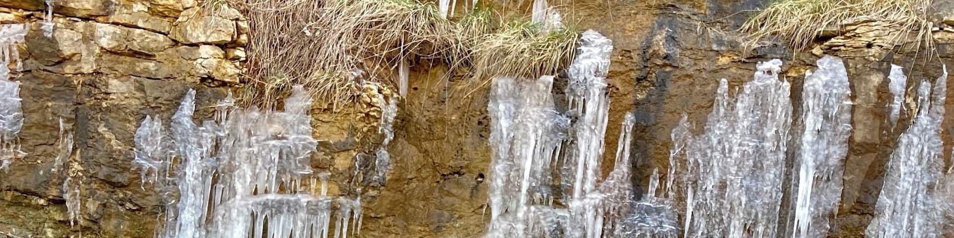 Icicles on Branson Creek Boulevard today