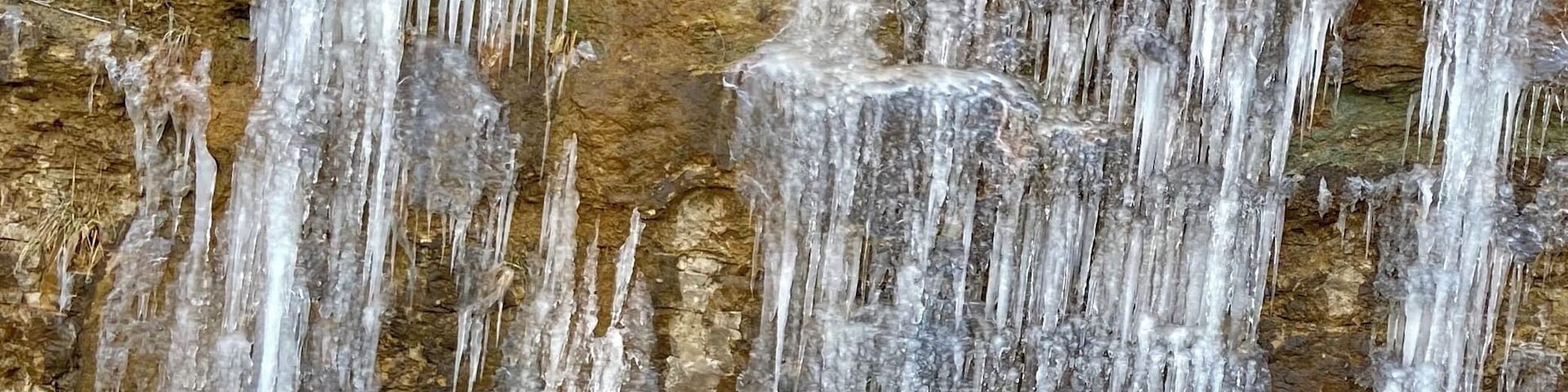 Icicles on Branson Creek Boulevard today