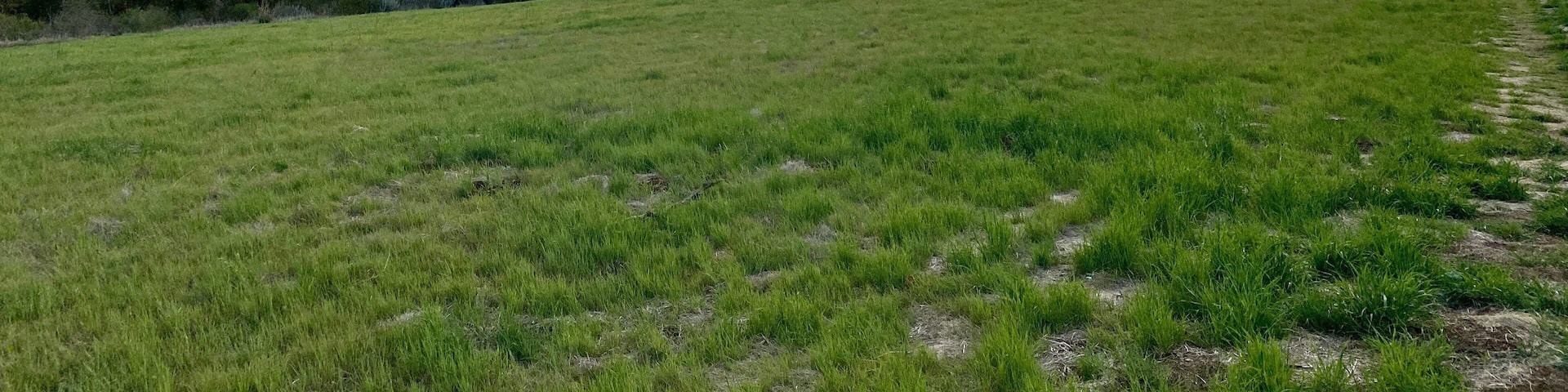 Wide view of Santa Monica Mountains at Rancho Sierra Vista, Satwiwa Native American Indian Natural Area, next to Point Mugu State Park, on overcast day