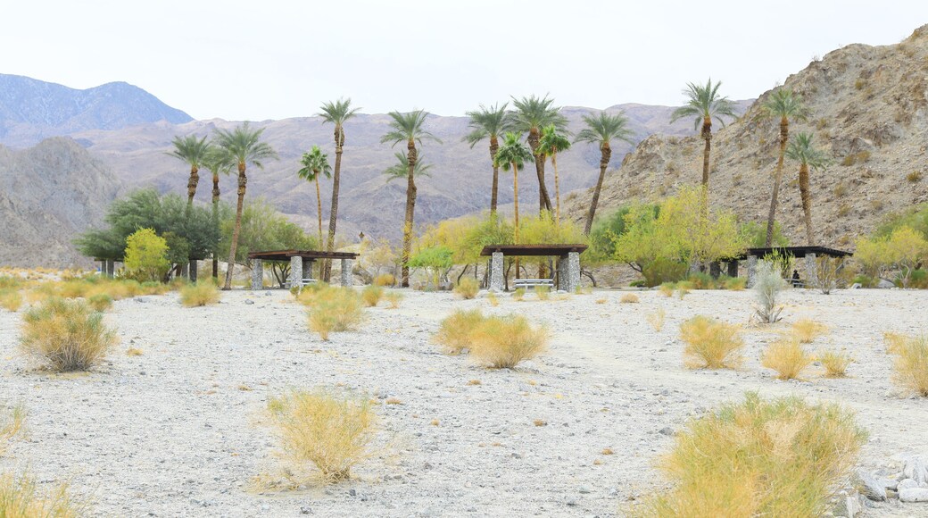 Winter scenery at desert Cove Oasis by La Quinta California, Trailhead is a 114 acre natural open space