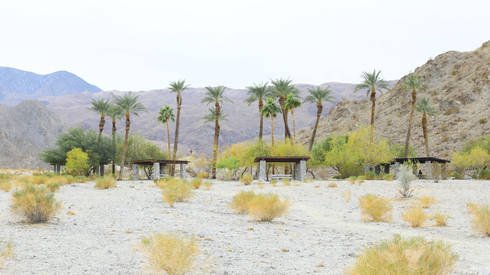 Winter scenery at desert Cove Oasis by La Quinta California, Trailhead is a 114 acre natural open space