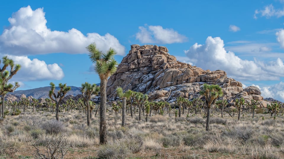 A light dusting of snow coats the rocks in Joshua Tree National Park on a cold clear day.