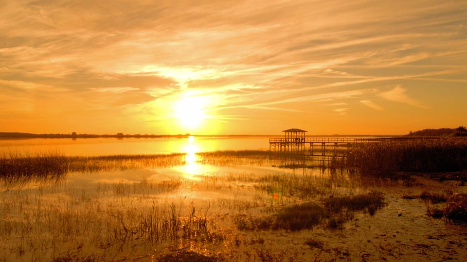 Sunset at the Twin Oaks Conservation Area near Kissimmee, Florida.