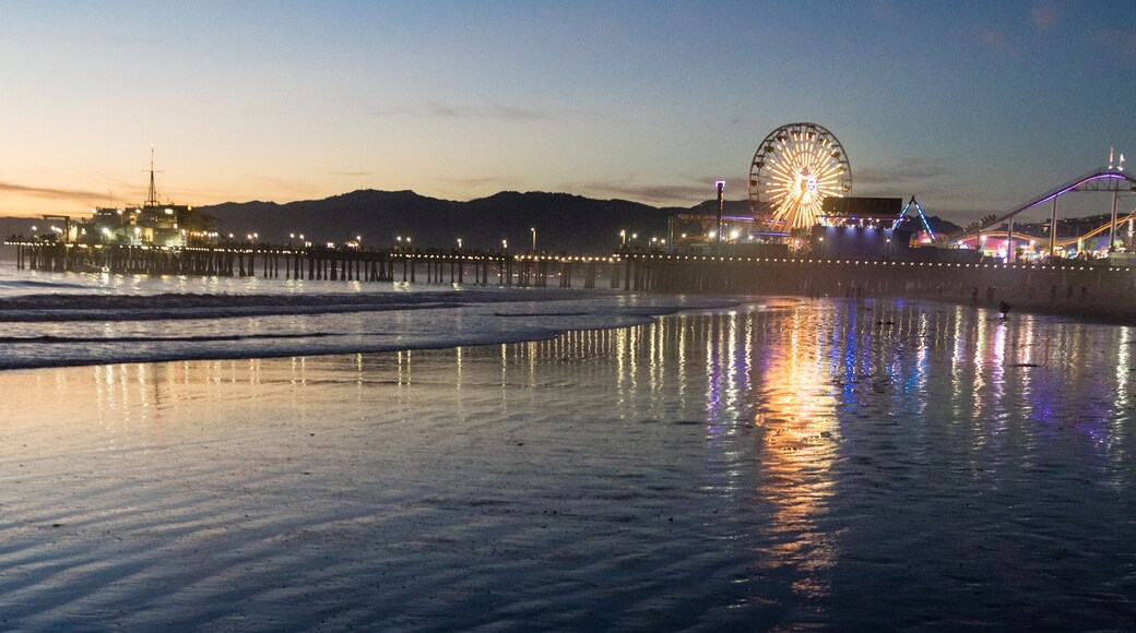 People Frolic in the Water on the Beach in Santa Monica, CA
