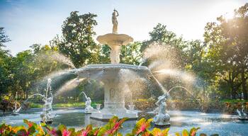 Hitch Village - Fred Wessels Homes