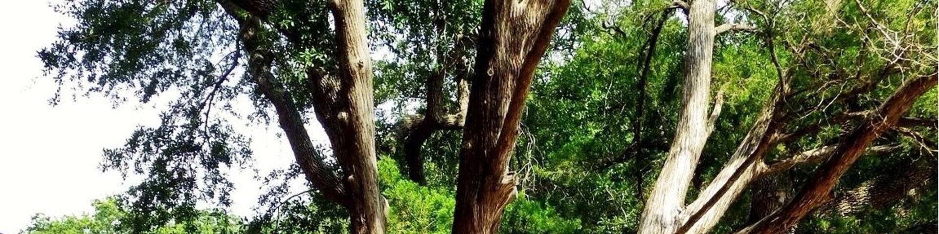 Come rest in the red chairs very nice shops nearby and the lighthouse. Then if your up for it there are banana boats and kayaks up for rental.