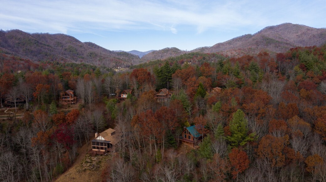 Aerial mountain cabin view