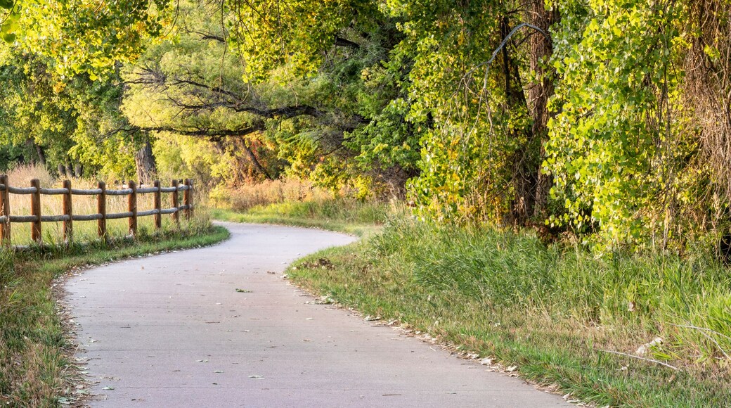 bike trail in early fall scenery