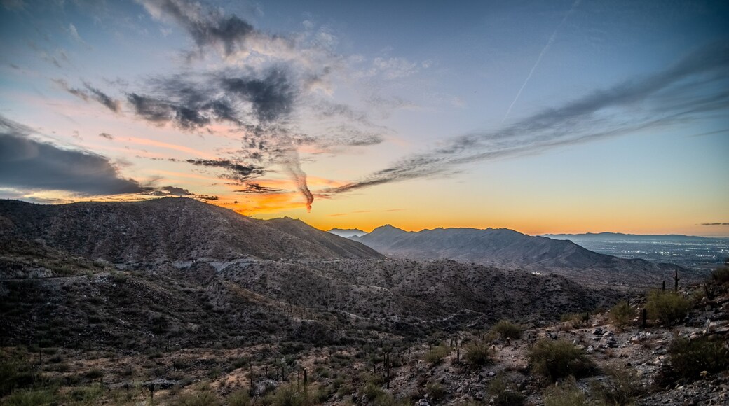 Arizona desert at sunset with Saguaro cactus in Sonoran Desert near Phoenix