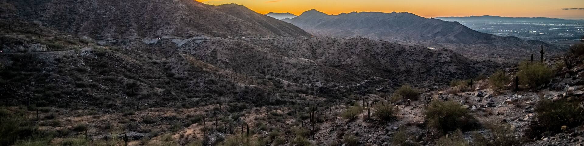 Arizona desert at sunset with Saguaro cactus in Sonoran Desert near Phoenix