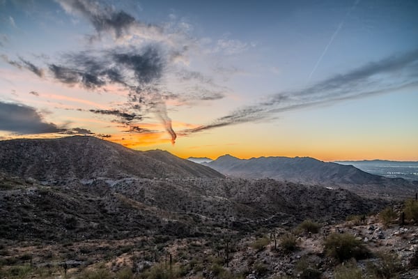 Arizona desert at sunset with Saguaro cactus in Sonoran Desert near Phoenix