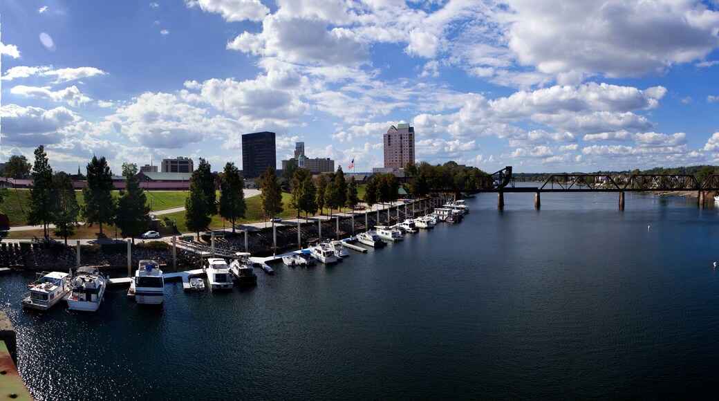 วูดบลัฟฟ์