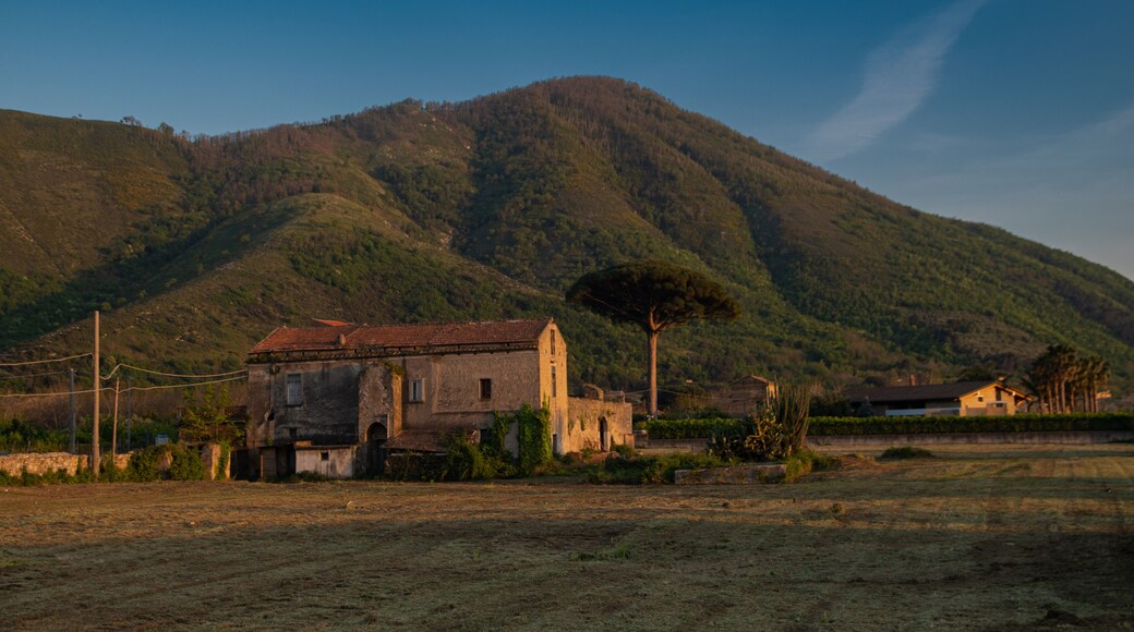 An old forgotten ruined villa in the mountains of southern Italy.