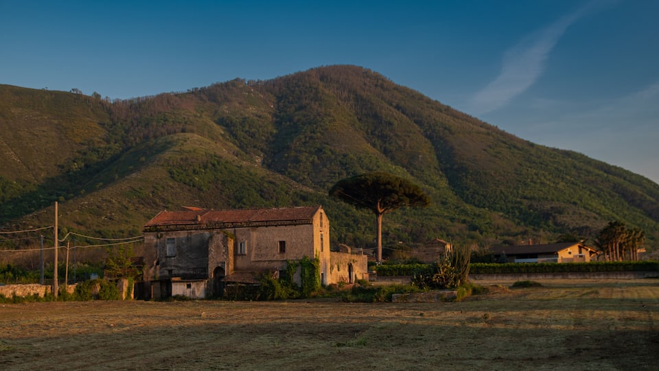 A rural landscape with a hill, a dilapidated building, and a tree.